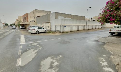 An overcast day on a corner of an urban street with buildings, parked cars, and a flowering shrub near a single-story villa.