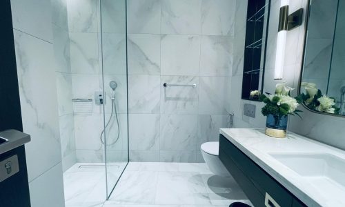 Modern bathroom in an amazing apartment with marble tiles, featuring a walk-in shower, a white bathtub, a sink with a large mirror, and green plants for decoration.