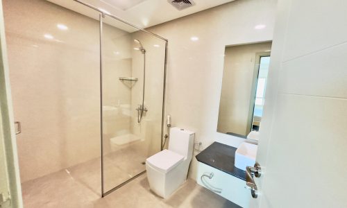 Luxury apartment bathroom with glass shower enclosure, white toilet, dark countertop, and extensive mirrors.