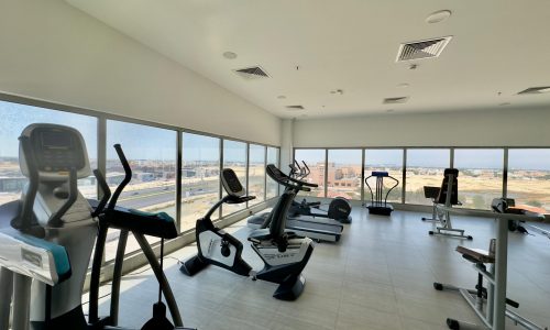 Interior of a luxury apartment gym with various exercise machines, including treadmills and stationary bikes, overlooking a cityscape through large windows.