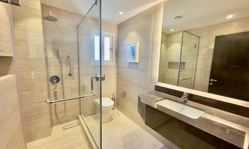 Luxury Apartment bathroom with a glass shower enclosure, wall-mounted toilet, and a vanity with sink, illuminated by natural and artificial light.