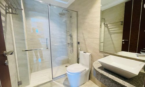 Modern bathroom with a glass shower enclosure, white toilet, and a sink counter with a large mirror.