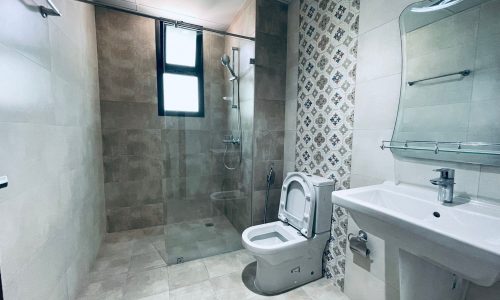 Modern luxury bathroom interior featuring a toilet, sink, and a walk-in shower with glass partition.