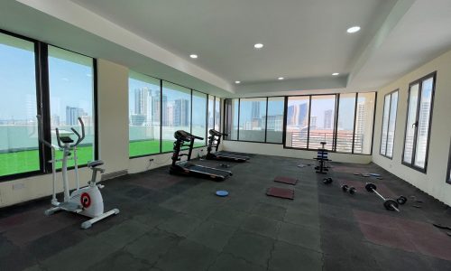 Empty gym room with various workout machines and weights, large windows showing a city skyline, and artificial grass area in a luxury apartment.