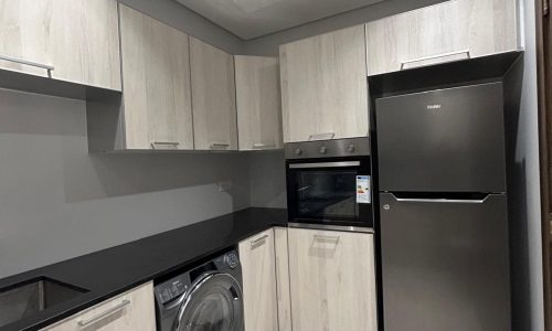 Modern kitchen in a luxury apartment with gray cabinets, built-in oven, washing machine, and a black refrigerator.