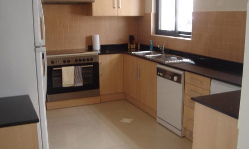 A modern kitchen with light wood cabinets, an oven, a stovetop, a dishwasher, a sink, and a refrigerator. The countertop is dark, and the backsplash features beige tiles. A window is above the sink.