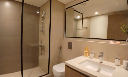 Modern bathroom with a large mirror, sink, and toiletries on a wood-toned countertop. A shower with glass doors and a mounted showerhead is on the left, and a toilet is adjacent to the sink.