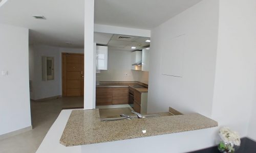 Modern kitchen with wood cabinets, granite countertops, and white walls. A small sink is integrated into the counter. A wooden door is visible in the background. A decorative plant is on the counter.