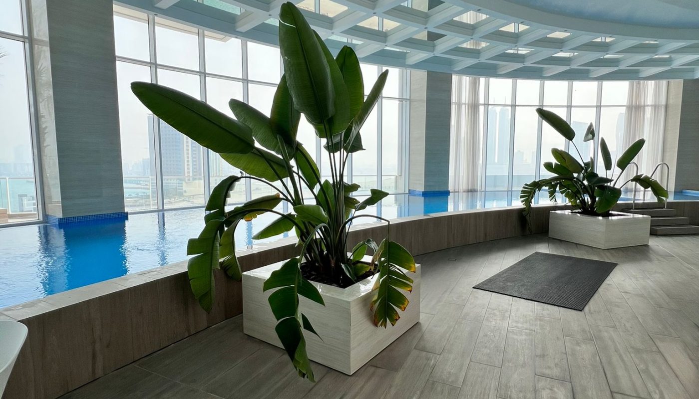 Indoor pool area with large windows, potted tropical plants, light wood flooring, and a curved ceiling structure.