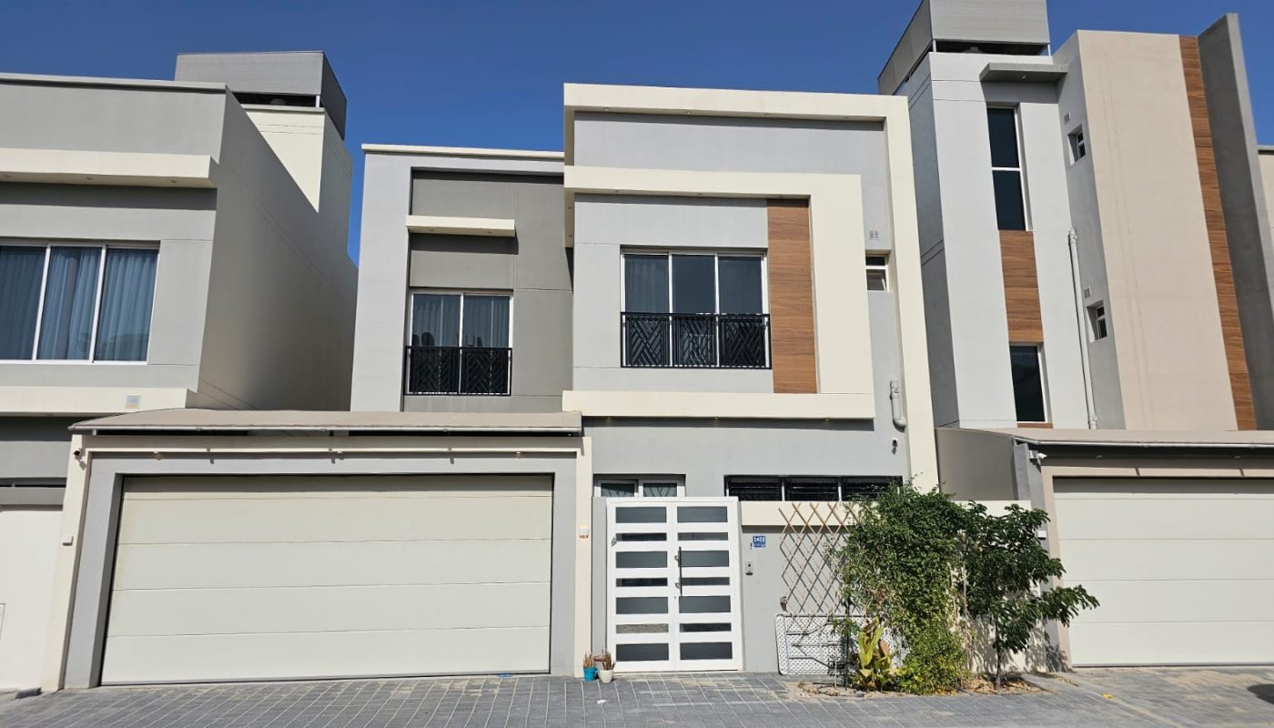 Modern two-story house with a flat roof, large garage doors, and a small plant near the entrance, set against a clear blue sky.