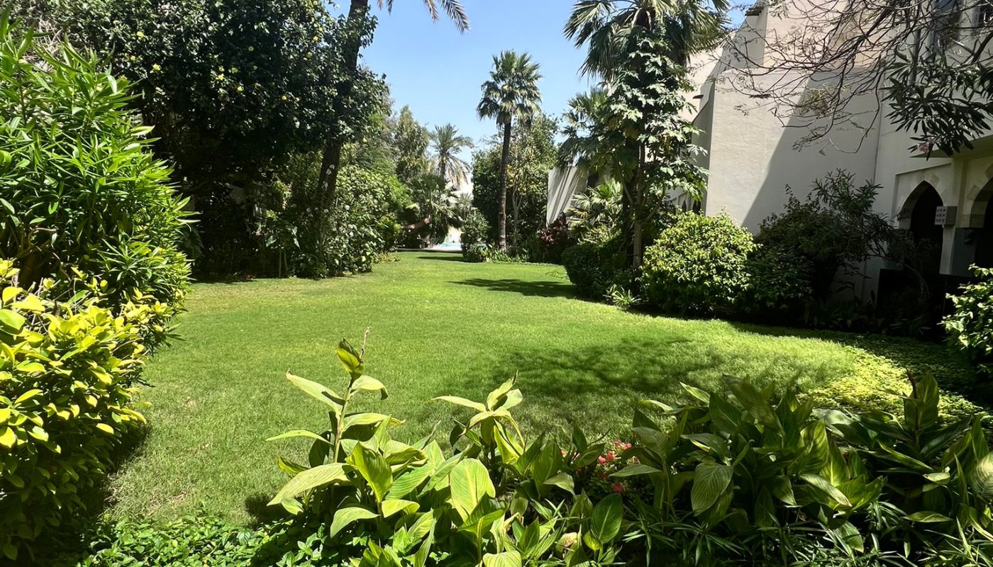 A well-maintained garden with a lush green lawn, various plants, and palm trees under a clear blue sky next to a white building.