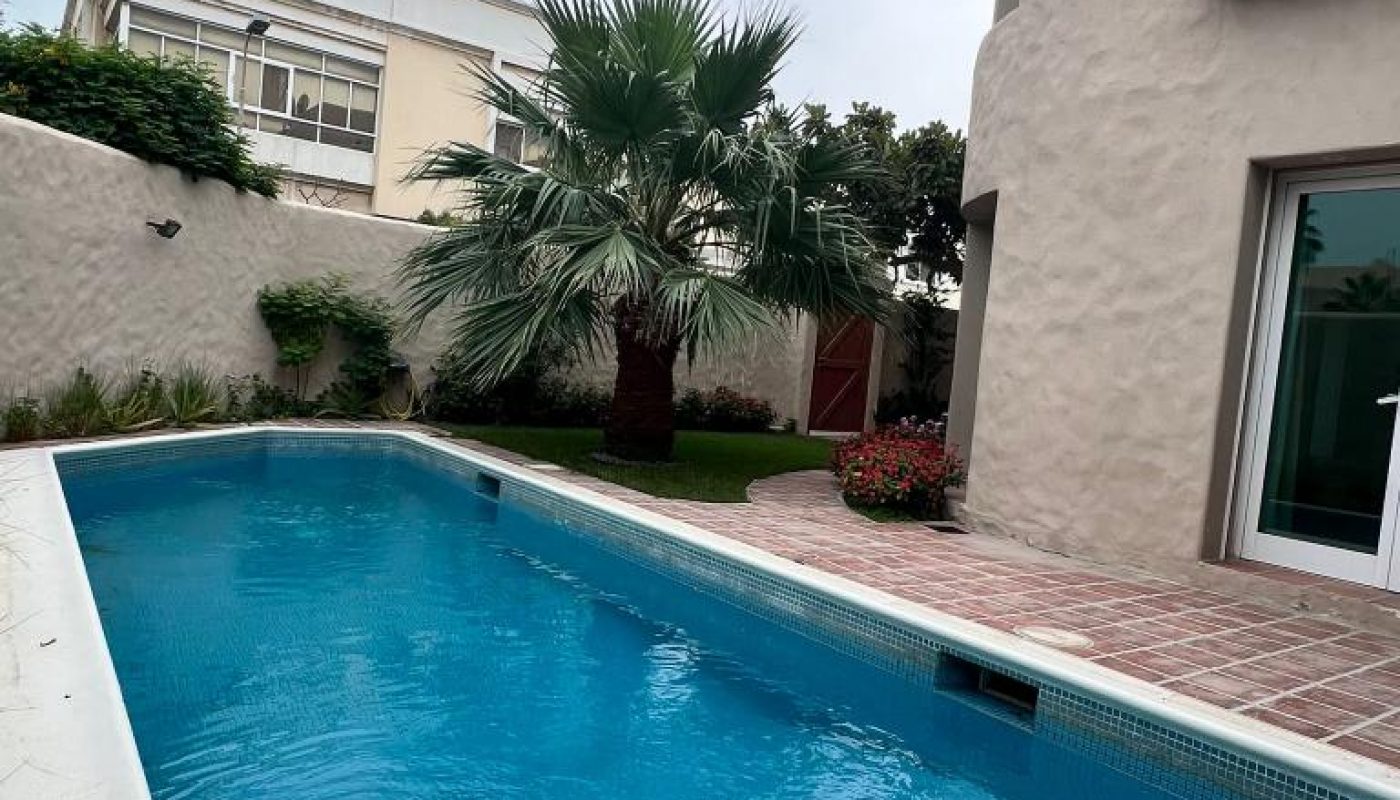 A rectangular outdoor swimming pool beside a beige stucco house with a palm tree and plants in a small courtyard.