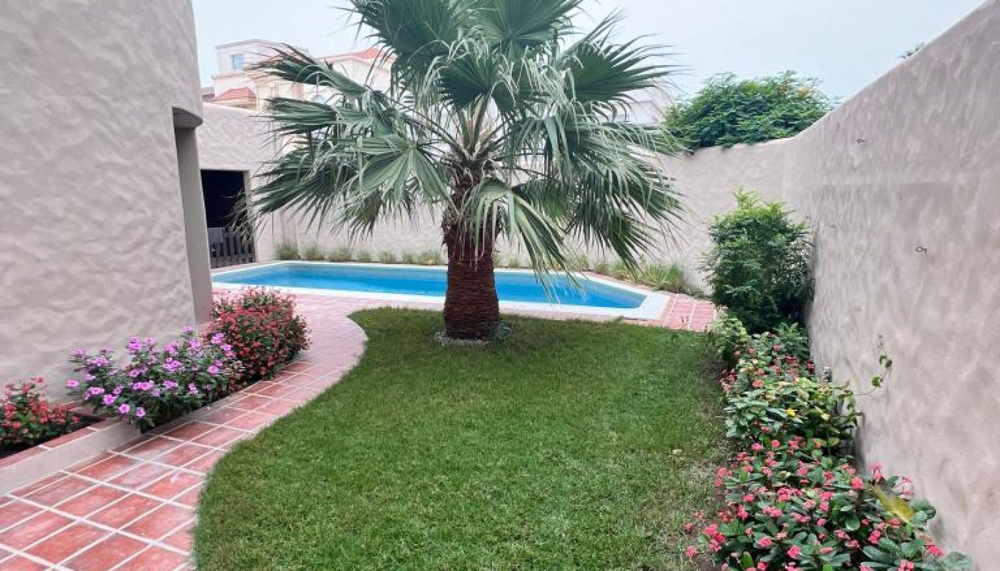 A small backyard with a palm tree, green grass, flower beds, a tiled walkway, and a swimming pool surrounded by beige walls.