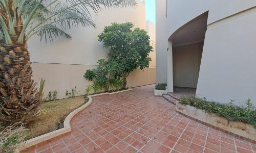 A paved walkway lined with palm and other trees leads to the entrance of a modern, luxurious villa in Saraya 1, with light-colored walls.