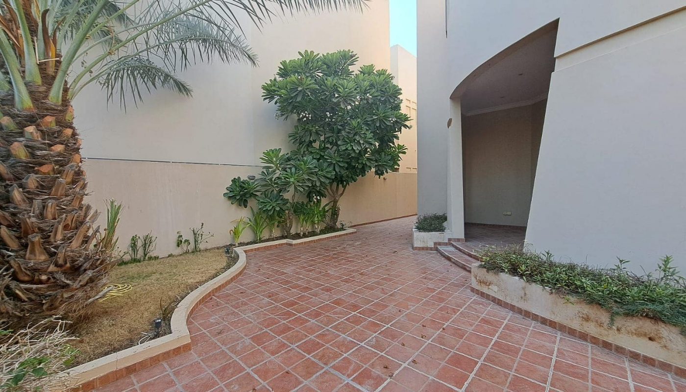 A paved walkway lined with palm and other trees leads to the entrance of a modern, luxurious villa in Saraya 1, with light-colored walls.