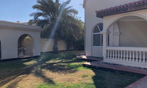 A sunny backyard with a large palm tree, grass, a tiled pathway, and the exterior of a house featuring arched windows and columns.