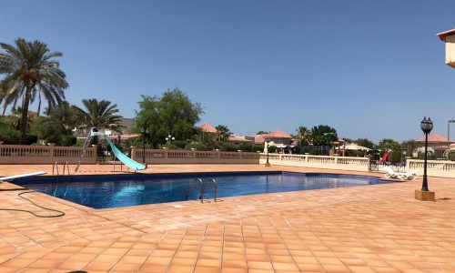 A rectangular outdoor swimming pool with a blue slide on one side, surrounded by a tiled patio. There are palm trees and houses with red roofs in the background.