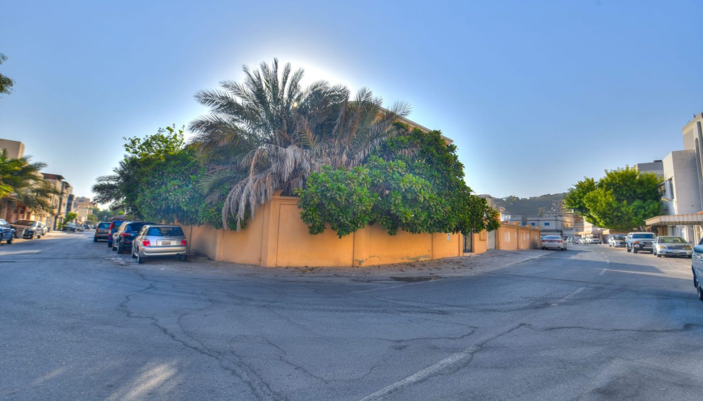 A residential street corner with a house surrounded by dense greenery and palm trees, cars parked along the roadside, clear blue sky above.