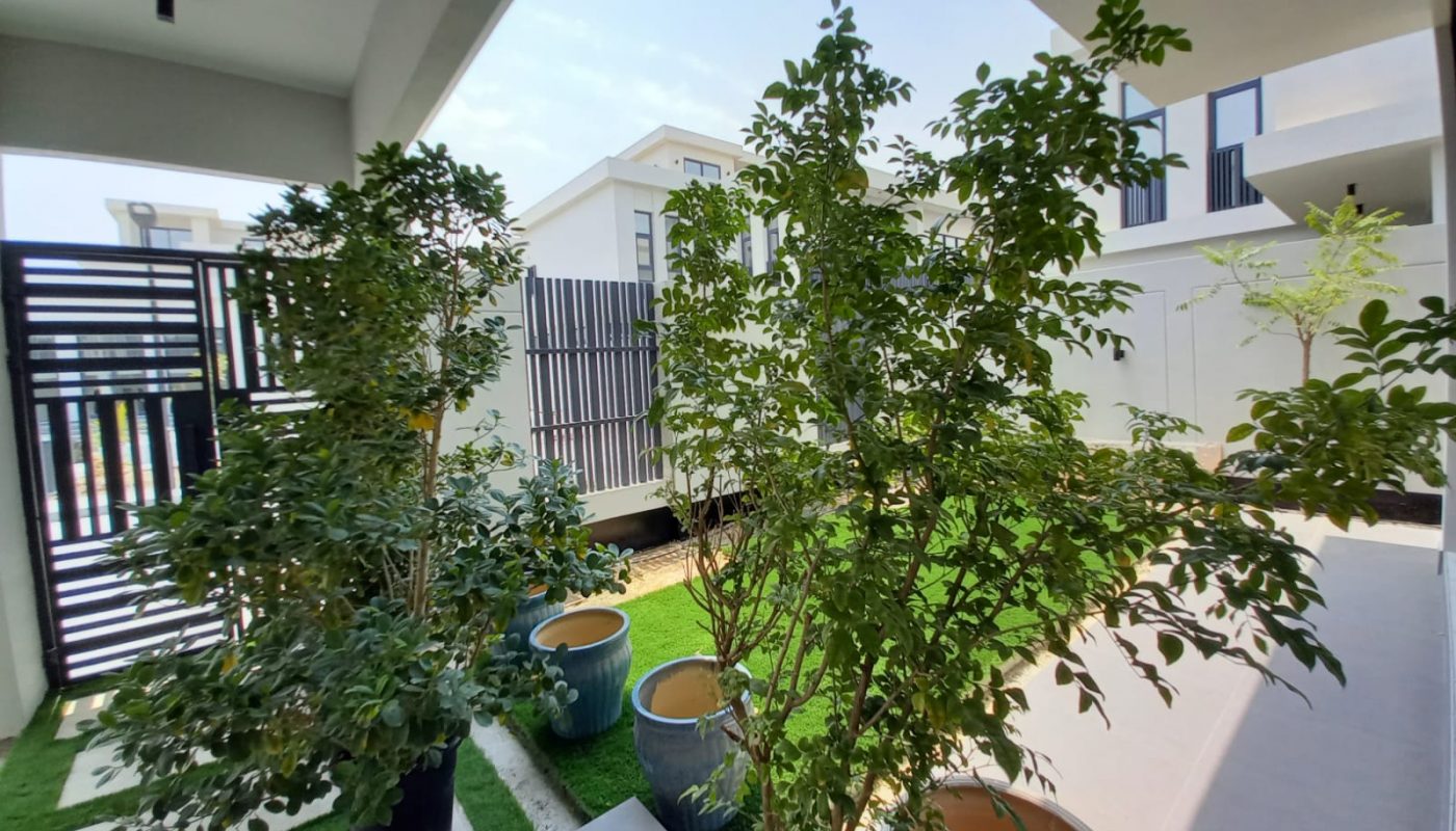 Potted green plants are arranged on a patio and lawn in a modern, white-walled outdoor area with sunlight and clear skies visible.