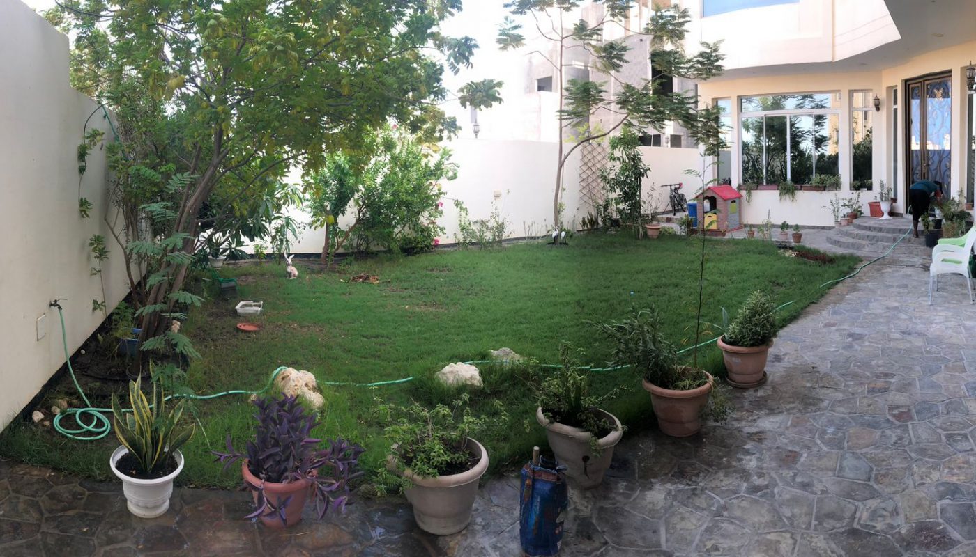 A well-kept backyard with a green lawn, potted plants along a stone walkway, a tree, and a white house with large windows and a balcony.