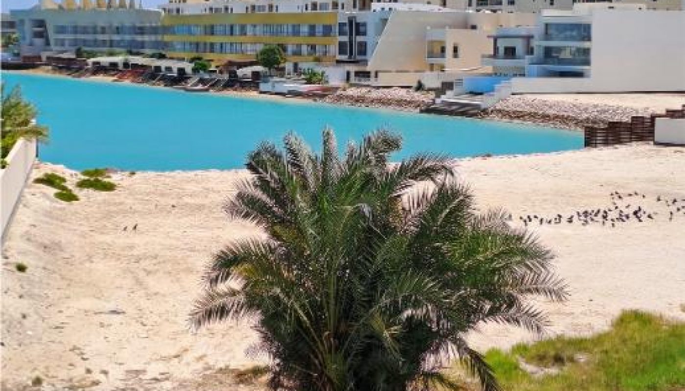 A kayak on a small trailer sits near a palm tree, with sandy beach, turquoise water, and modern buildings in the background on a clear day.