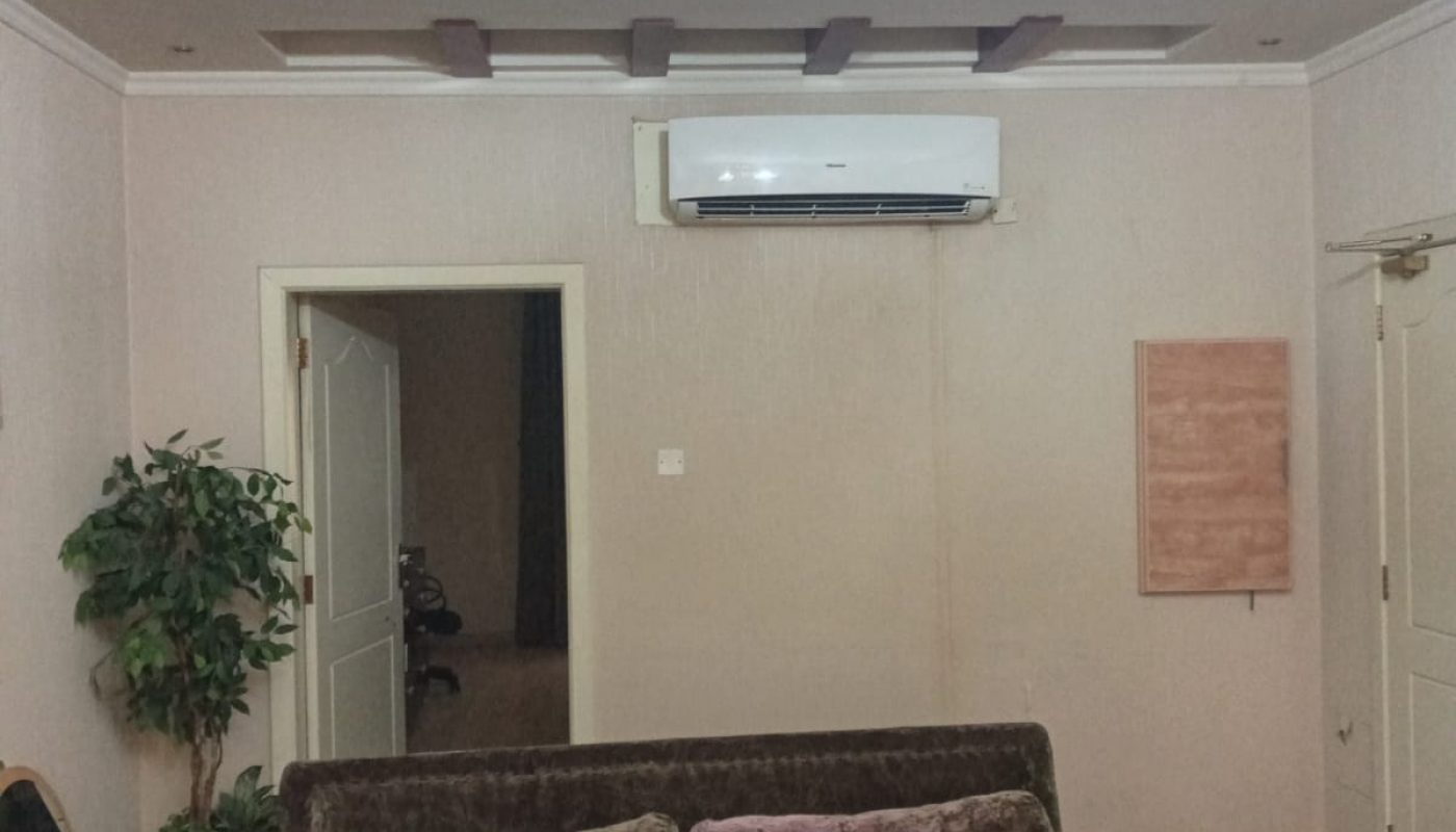 A living room with a sofa, two cushions, a potted plant, a wall-mounted air conditioner, a ceiling light, and striped carpet flooring.