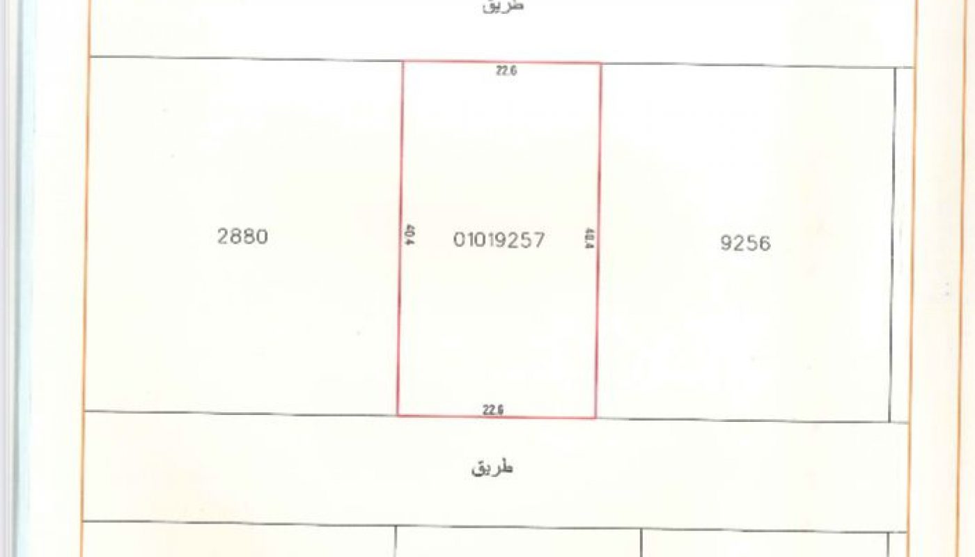 Map showing plot number 01019257, situated between plots 2880, 3116, 2867, and 9256. The plot is bordered by roads on two sides. Scale is 1:500.