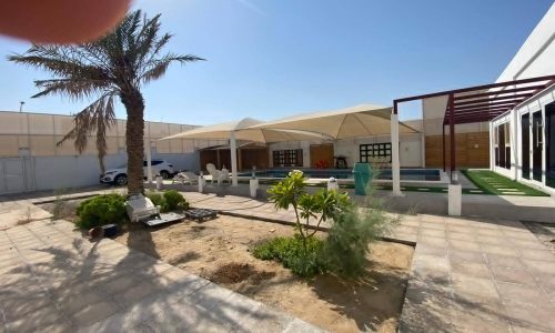 A sunny courtyard with a palm tree and seating area, featuring modern architecture and an auto draft shelter structure in the background.