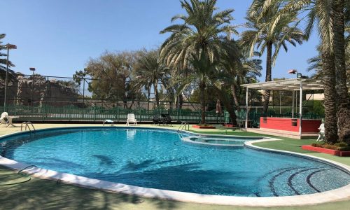 Outdoor swimming pool surrounded by palm trees, sunbathing chairs, and a covered seating area with a red structure. Tennis courts are visible in the background.