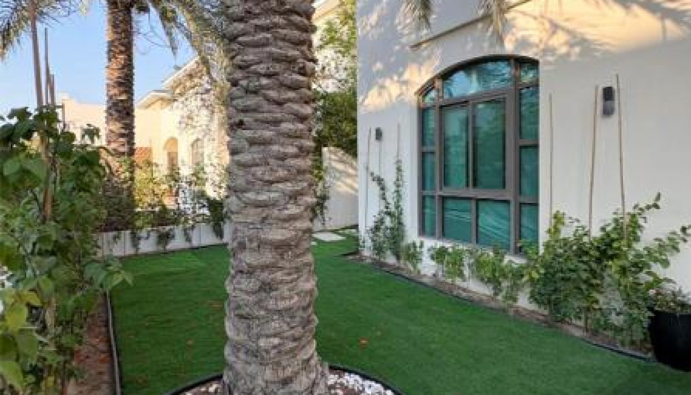 A landscaped yard featuring a palm tree, artificial grass, white stones around the tree base, and a cream-colored building with arched windows in the background.