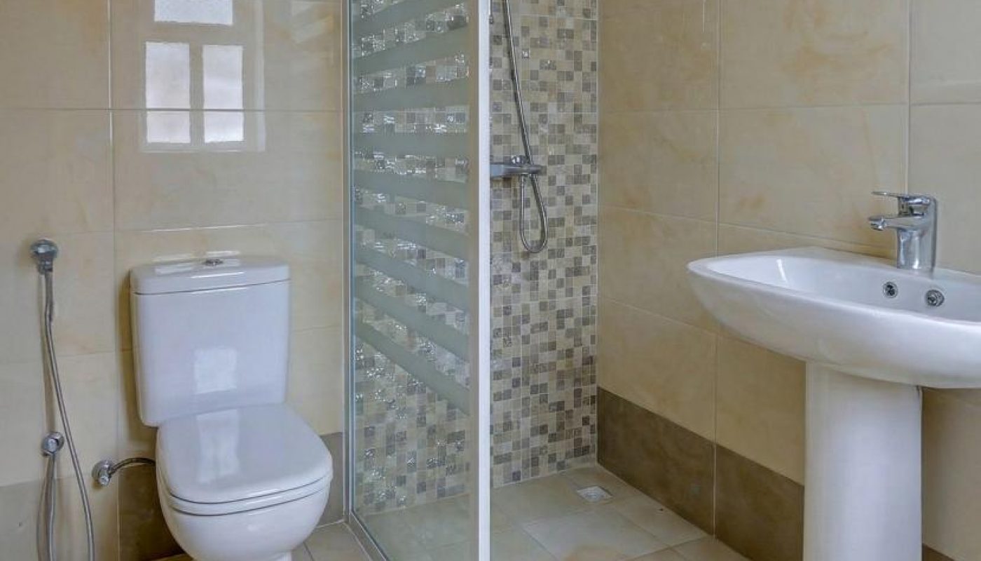 A modern bathroom with a toilet, handheld bidet, pedestal sink, and a glass-enclosed shower featuring mosaic tile accents.