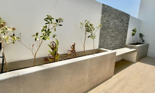 A rooftop patio with rectangular planters containing small shrubs, a wooden bench, a white wall, and a stone accent wall under a clear blue sky.