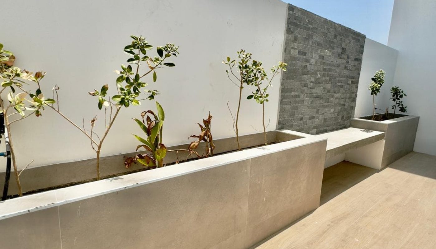 A rooftop patio with rectangular planters containing small shrubs, a wooden bench, a white wall, and a stone accent wall under a clear blue sky.