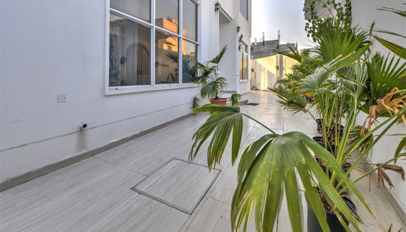 A tiled walkway with potted palm plants runs alongside a modern white building with large windows under a clear sky.