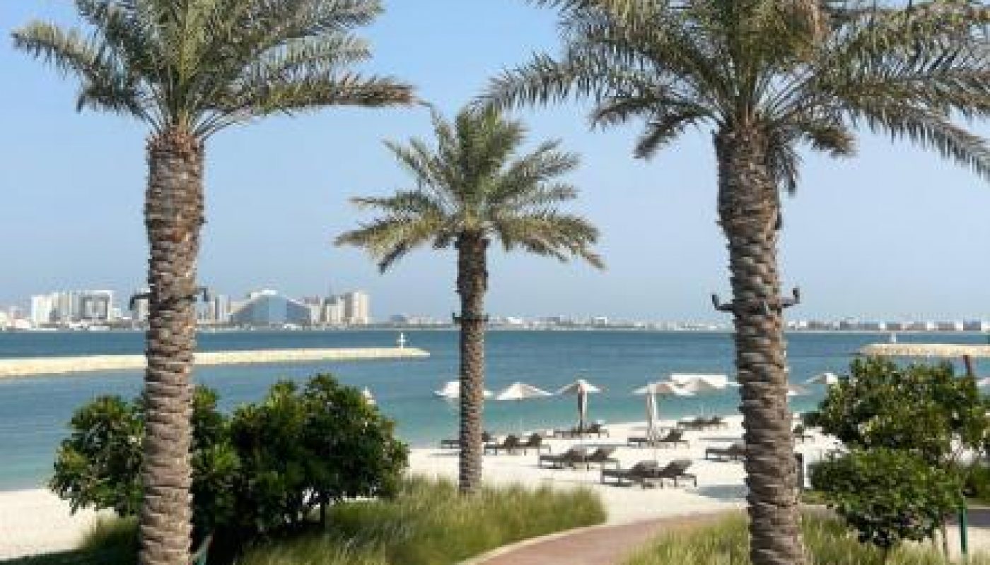 Palm trees line a paved pathway leading to a sandy beach with lounge chairs and umbrellas beside calm blue water; city buildings are visible across the water under a clear sky.