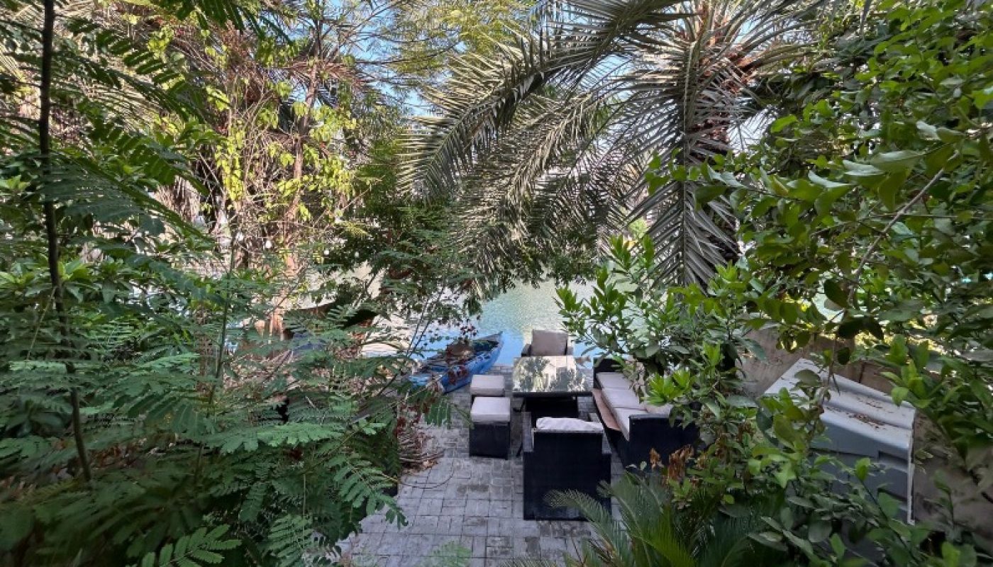 Outdoor seating area with tables and chairs surrounded by lush green plants and palm trees under a clear blue sky.