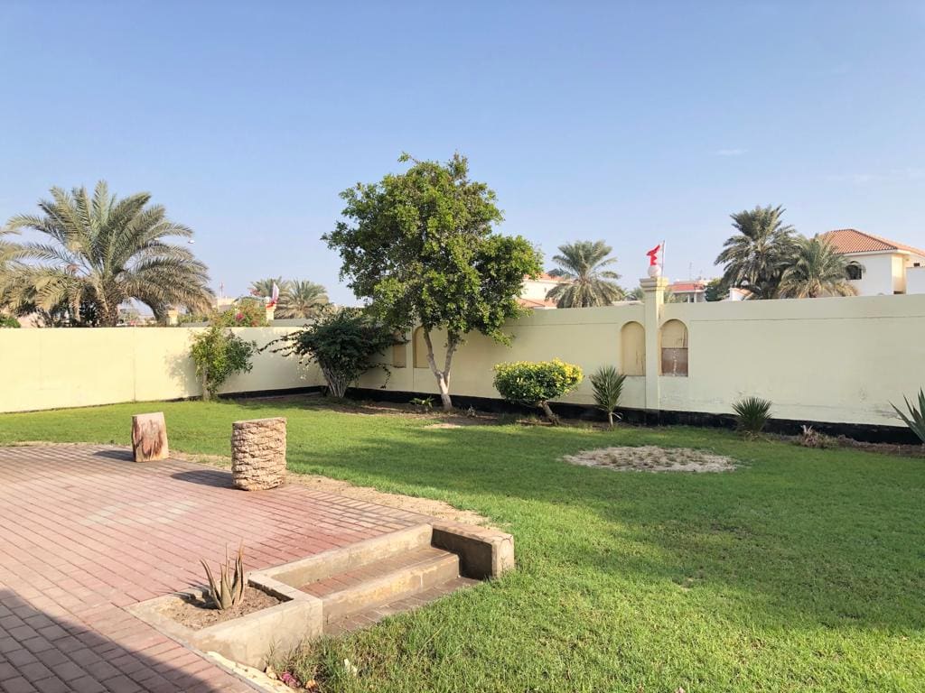 A backyard with a green lawn, a small tree, a bush, a brick pathway, and a white wall surrounding the area. Palm trees and houses are visible in the background.