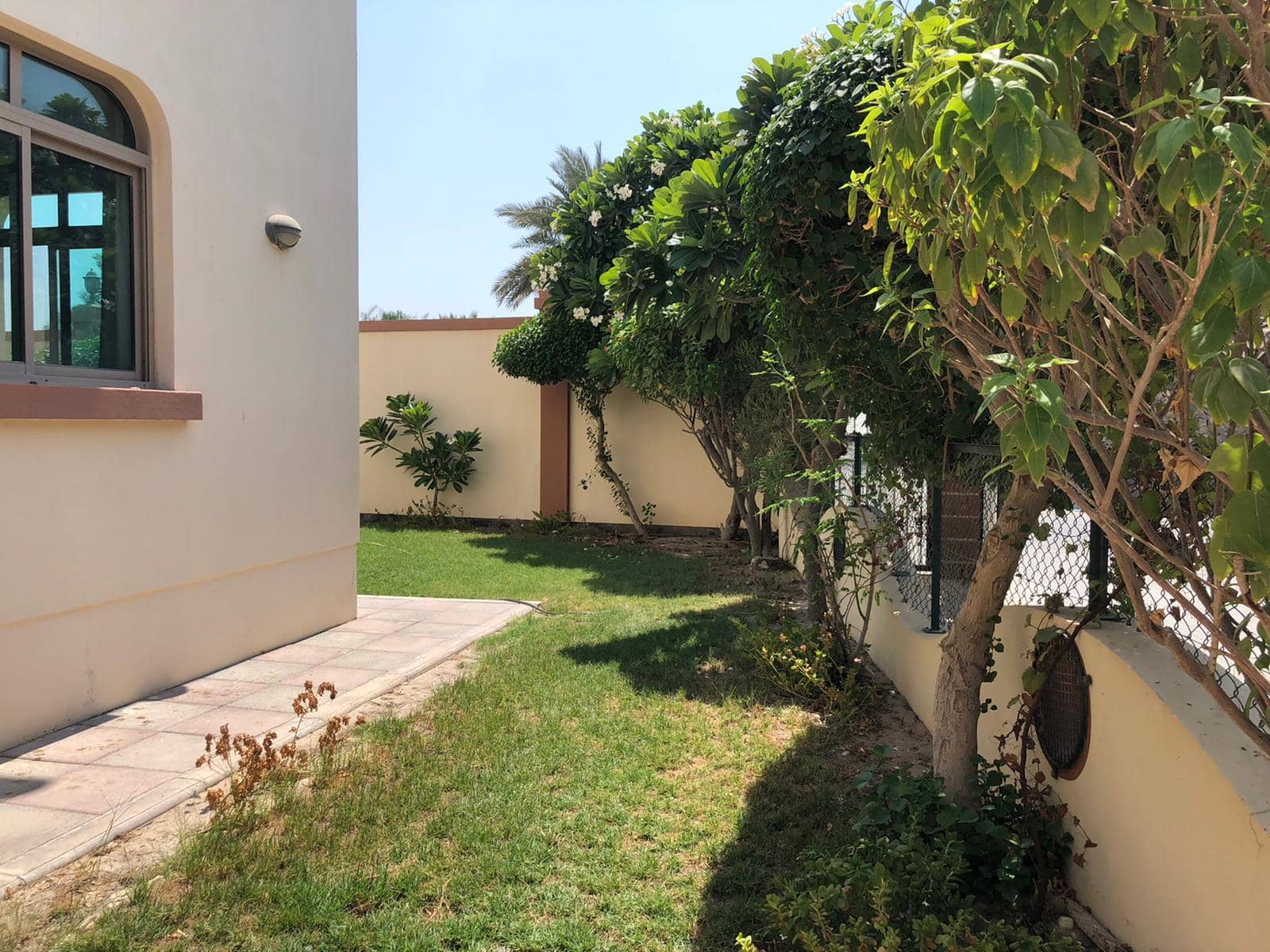 Small backyard with a lawn, paved path, and trees along a wall. A white building with a small window is on the left.