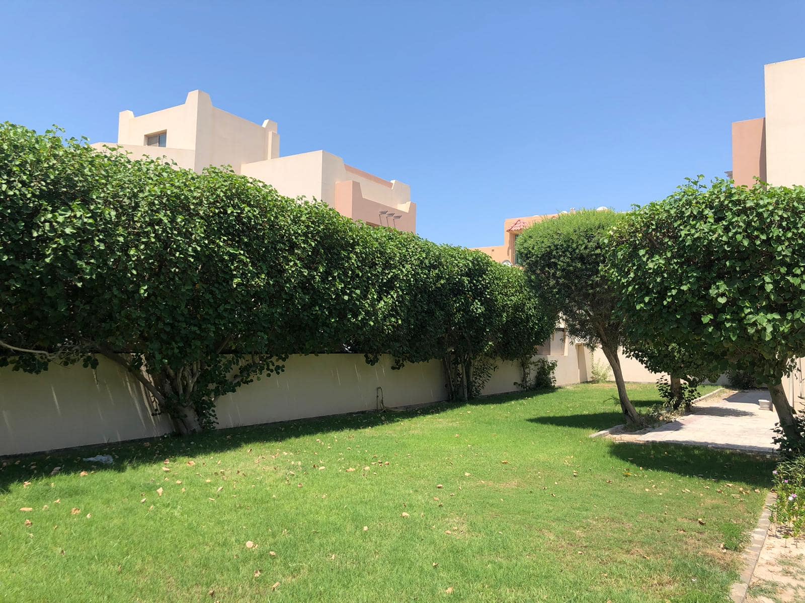 A garden with neatly trimmed hedges, a green lawn, and a paved pathway in front of beige residential buildings under a clear blue sky.