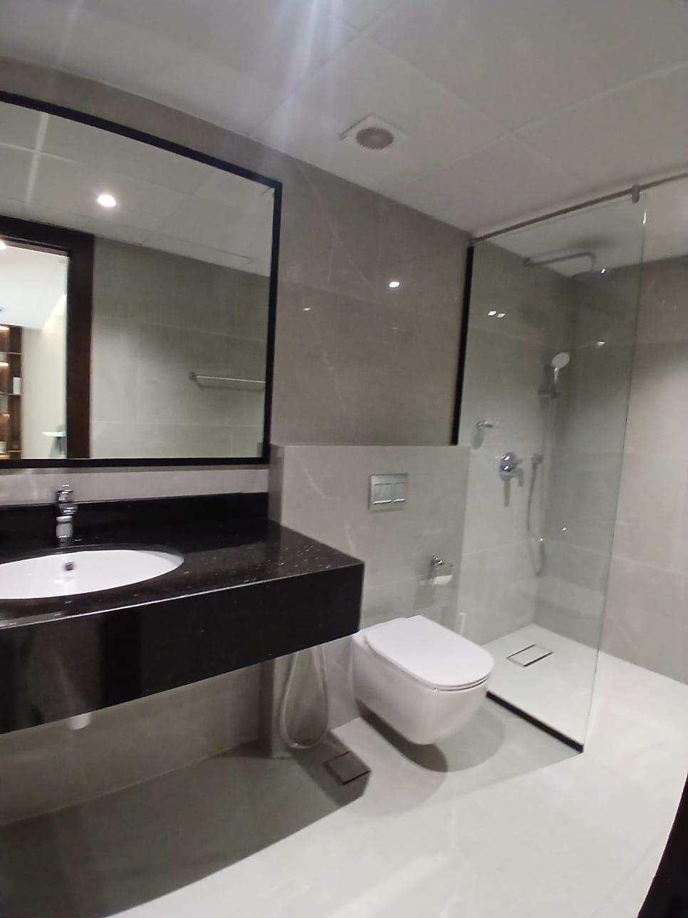 Modern bathroom with a vanity sink, large mirror, wall-mounted toilet, and a glass-enclosed shower area.