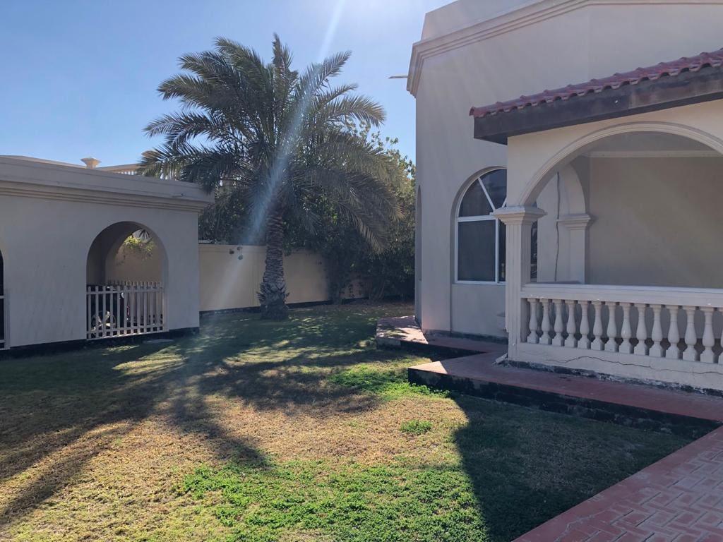 A sunny backyard with a large palm tree, grass, a tiled pathway, and the exterior of a house featuring arched windows and columns.